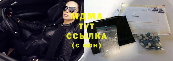 прущие грибы Алексеевка