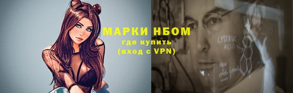 прущие грибы Алексеевка