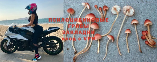 Альфа ПВП Алексин