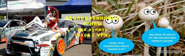 гидра Аркадак